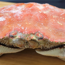 Frozen Dungeness Cooked Crabs Fisherman's Market Seafood Outlet