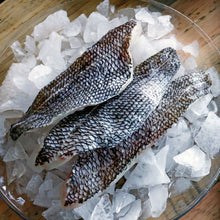 Black Sea Bass Fillet Fisherman's Market Seafood Outlet