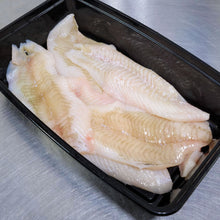 Fresh Yellowtail Fillet Fisherman's Market Seafood Outlet