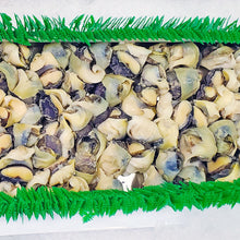 Frozen Conch Meat Fisherman's Market Seafood Outlet