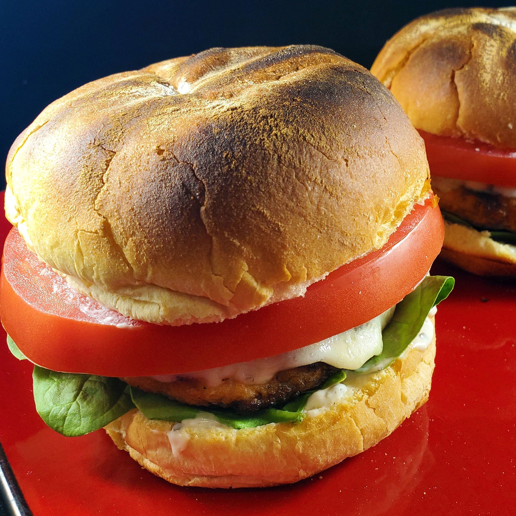 Frozen- Salmon Burgers 2ct – Red's Best