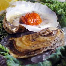 Local Oysters Fisherman's Market Seafood Outlet