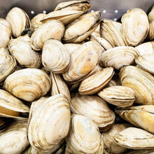 New England Steamers Fisherman's Market Seafood Outlet