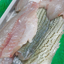 Striped Bass Fillet Fisherman's Market Seafood Outlet